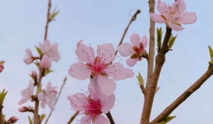 5G商用牌照今日发放，到底会带来哪些影响？