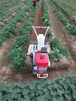 中国台湾日农牌中耕培土起垄两用型