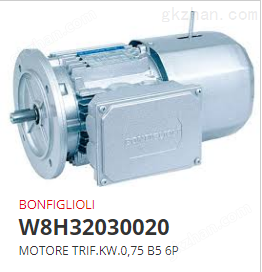德國Bonfiglioli W 63 U 15 S2V5減速機(jī)舟歐